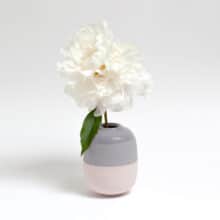 duo-blueberry-dustypink-peony