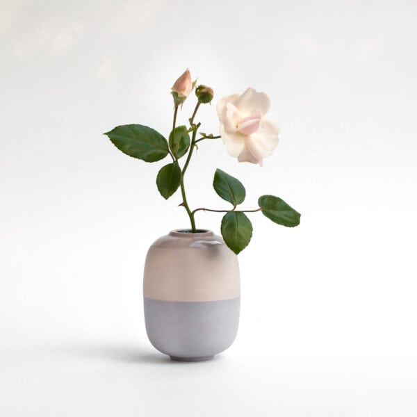 duo-dustypink-blueberry-with-rose small vase with a rose