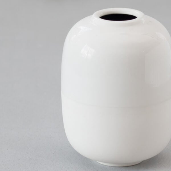 duo-white-closeup white vase closeup
