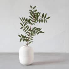 duo-white-tall small vase with a long stem