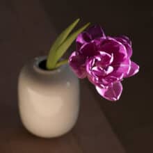 duo-white-topview vase with a flower