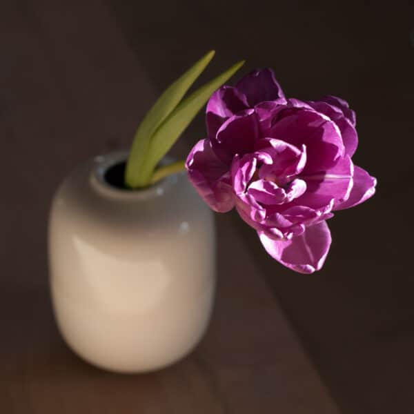 duo-white-topview vase with a flower