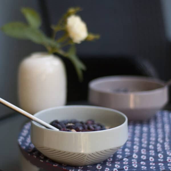 EL_bowl_blueberry-with-blueberries breakfast bowls
