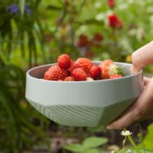 EL_bowl_sage-with-strawberry geometric bowl with strawberries