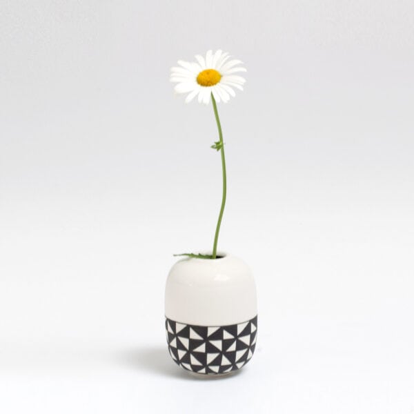 duo-white-top-daisy